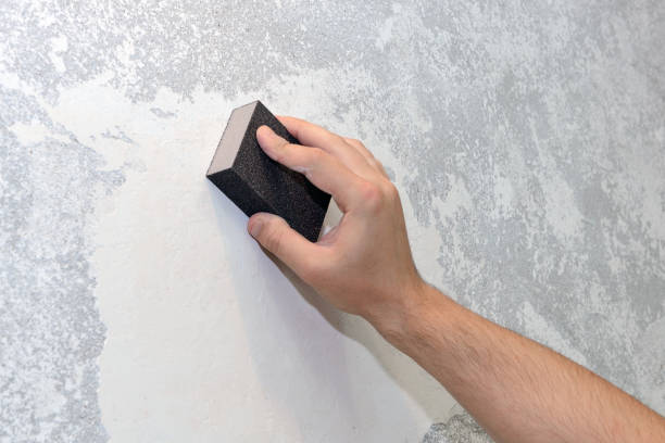 Best Biohazard Mold Removal  in Chippewa Falls, WI