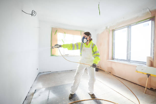 Best Mold Prevention Services  in Chippewa Falls, WI