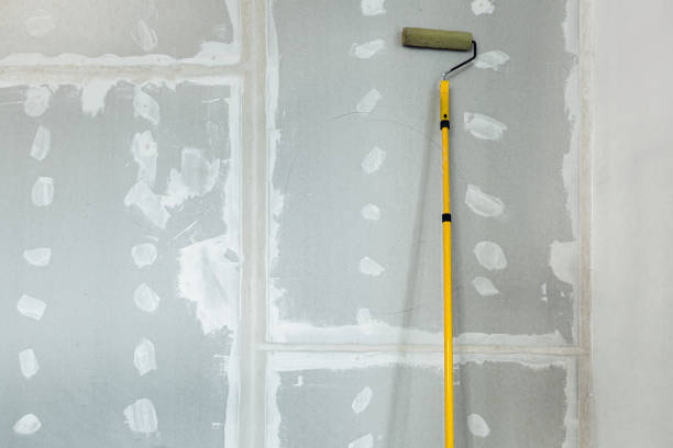 Best Water Damage & Mold Remediation  in Chippewa Falls, WI