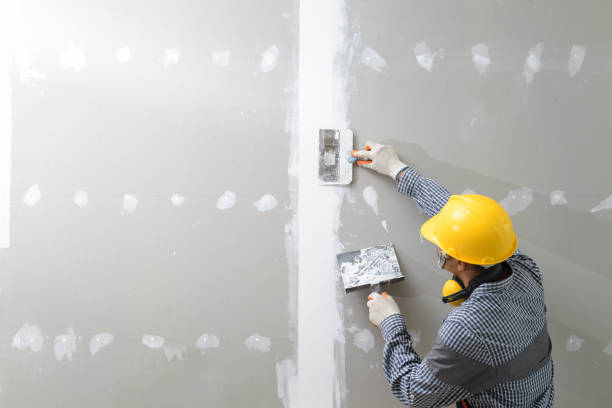 Best Mold Remediation for Healthcare Facilities  in Chippewa Falls, WI