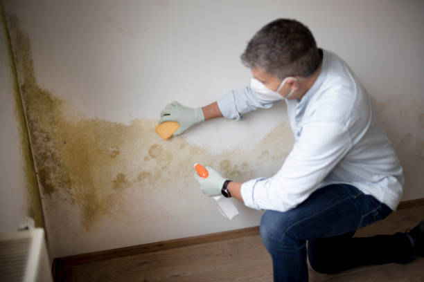 Best Indoor Air Quality Assessment  in Chippewa Falls, WI